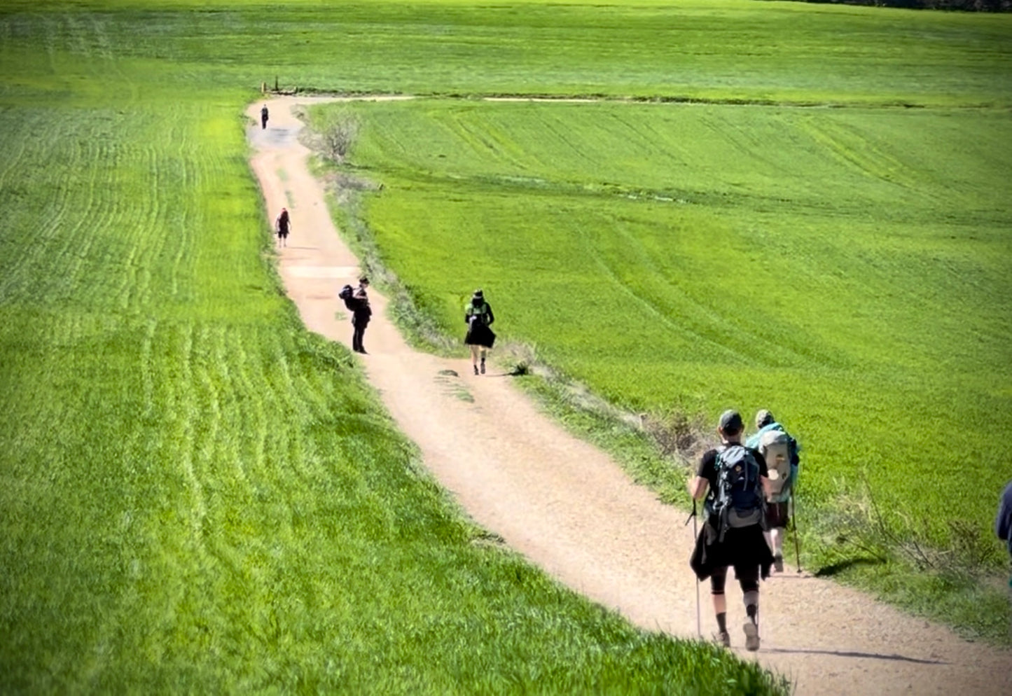Camino Confident (Vol. 1) — A 65-Page Camino de Santiago Guide & Memoir