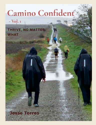 Book Cover Variant Thumbnail